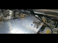 5L-200L Τροφική ποιότητα Χωρίς μέταλλο σακούλα σε κουτί υγρή συσκευασία διπλά καπάκια